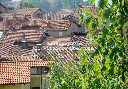 130906viveroneube002