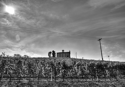 moscato2013 UBE20