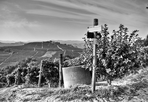 moscato2013 UBE47