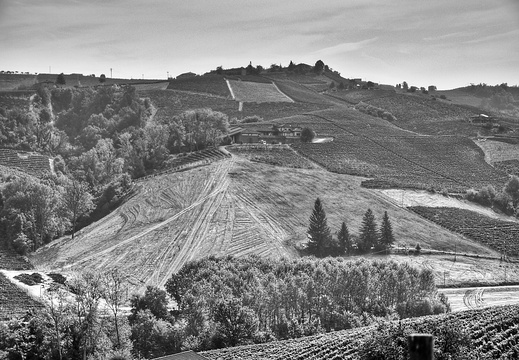 moscato2013 UBE53