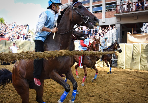 220904palio corsaUBE001