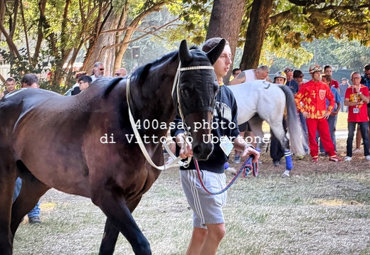 260904palio006
