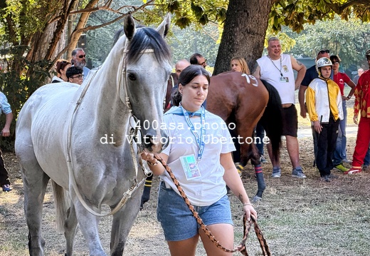 260904palio007