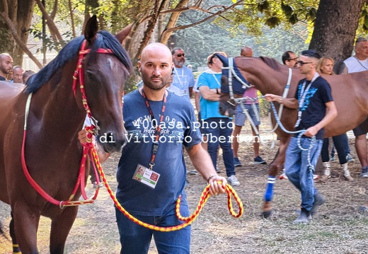 260904palio008