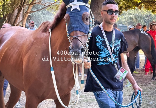 260904palio009