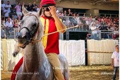 PALIO DI ASTI anno 2026 - 6 settembre 2026 le batterie e la finale - fotografia di Vittorio Ubertone https://www.400asa.it - https://www.saporidelpiemonte.net