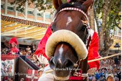 PALIO DI ASTI anno 2026 - 6 settembre 2026 le batterie e la finale - fotografia di Vittorio Ubertone https://www.400asa.it - https://www.saporidelpiemonte.net