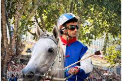 PALIO DI ASTI anno 2026 - 6 settembre 2026 le batterie e la finale - fotografia di Vittorio Ubertone https://www.400asa.it - https://www.saporidelpiemonte.net