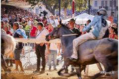 PALIO DI ASTI anno 2026 - 6 settembre 2026 le batterie e la finale - fotografia di Vittorio Ubertone https://www.400asa.it - https://www.saporidelpiemonte.net