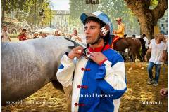 PALIO DI ASTI anno 2026 - 6 settembre 2026 le batterie e la finale - fotografia di Vittorio Ubertone https://www.400asa.it - https://www.saporidelpiemonte.net