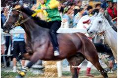 PALIO DI ASTI anno 2026 - 6 settembre 2026 le batterie e la finale - fotografia di Vittorio Ubertone https://www.400asa.it - https://www.saporidelpiemonte.net