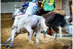 PALIO DI ASTI anno 2026 - 6 settembre 2026 le batterie e la finale - fotografia di Vittorio Ubertone https://www.400asa.it - https://www.saporidelpiemonte.net