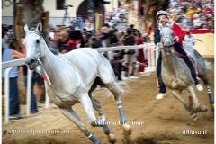 PALIO DI ASTI anno 2026 - 6 settembre 2026 le batterie e la finale - fotografia di Vittorio Ubertone https://www.400asa.it - https://www.saporidelpiemonte.net