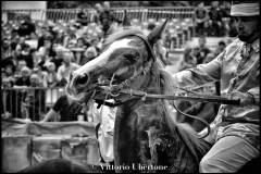 Fantini e Cavalli al Palio di Asti - fotografia di Vittorio Ubertone